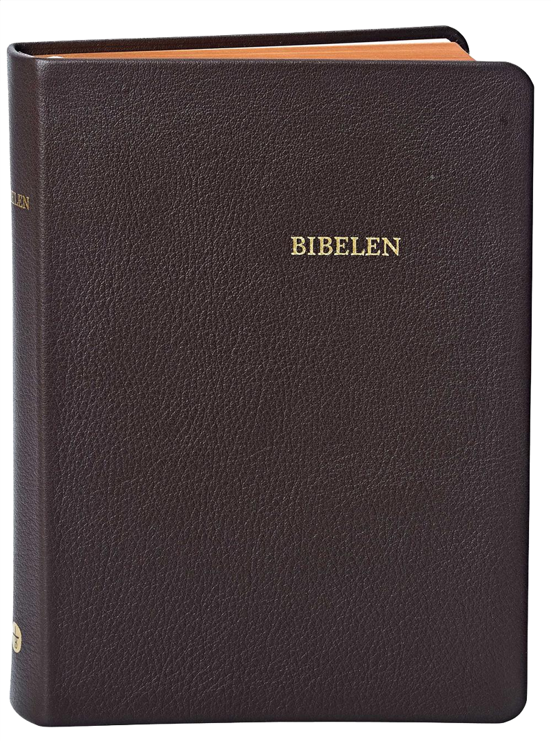 Bibelen_mellem_brun