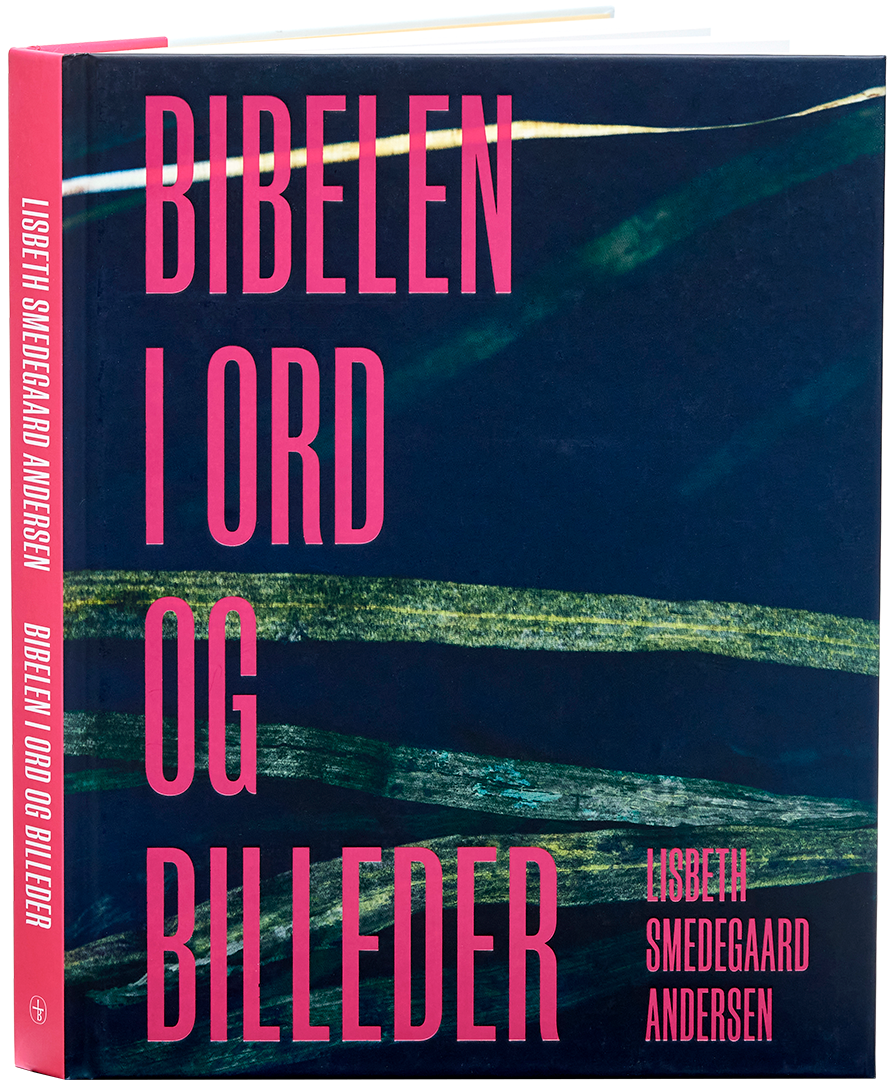 Bibelen i ord og billeder