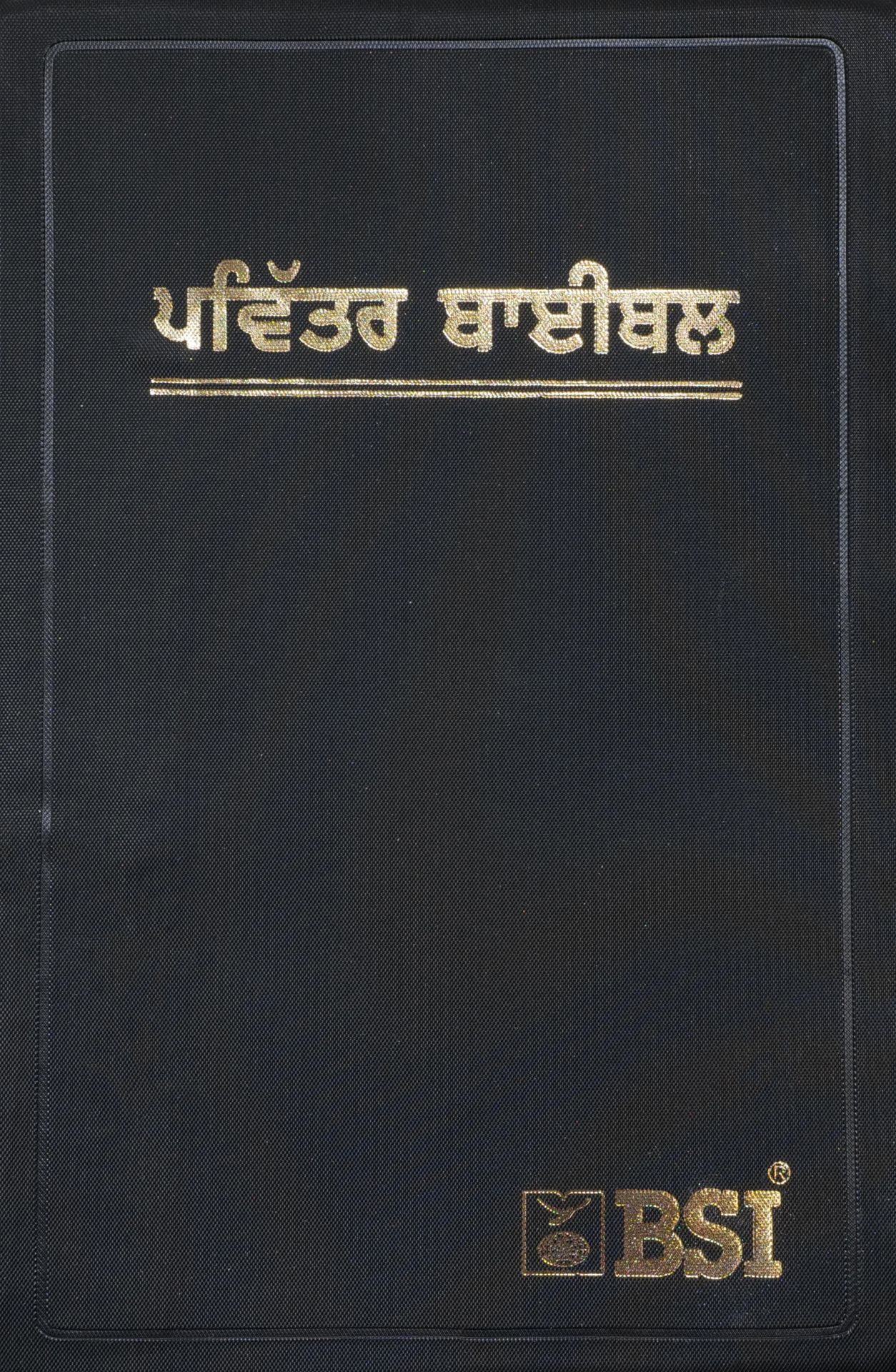 Punjabi Bibel