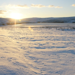 Sol på sne. Foto: Mike Pennington, Wikimedia commons. 