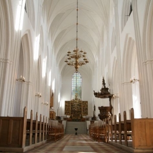 Odense domkirke