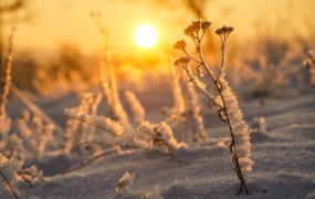 Vintersol. Foto: Pelle Zoltan / Shutterstock.